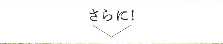 さらに